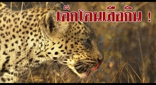 เสือกินคน