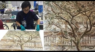 แวน โก๊ะ