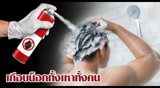 วิธีกำจัดเหา