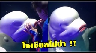 ทาลิปสติก