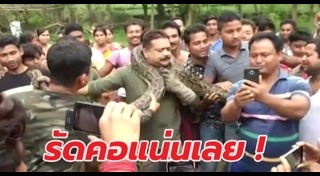 งูรัดคน