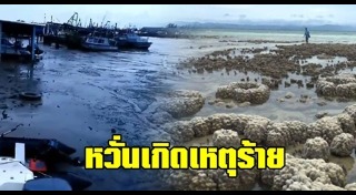 ทะเลแหวก