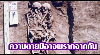 ฝังทั้งเป็น