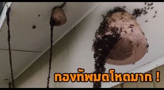 ต่อ