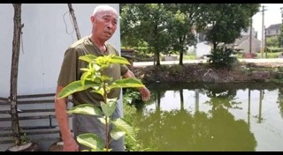 ช่วยเด็กจมน้ำ