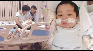 สเต็มเซลล์
