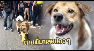 รับน้องขึ้นดอย มช.