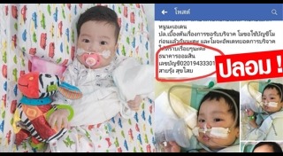 สเต็มเซลล์