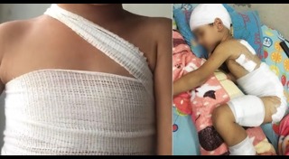 พ.ร.บ.คุ้มครองสัตว์