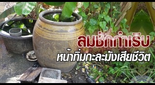 โรคลมชัก