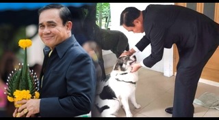 บางแก้ว