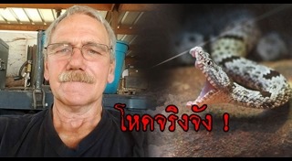 ทหารผ่านศึก