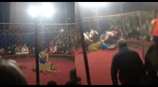 สิงโตกินคน