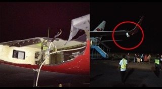 ไทย ไลอ้อน แอร์