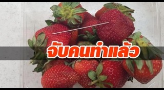 ฝังเข็ม