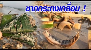 ขยะวันลอยกระทง