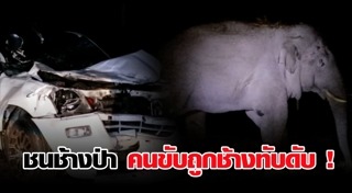 รถชนช้าง