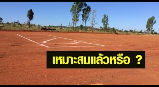 ตัดไม้ทำลายป่า