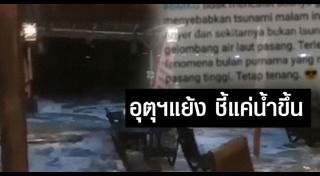 สึนามิอินโดนีเซีย