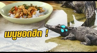 ฟาร์มจระเข้