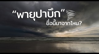 แหลมตะลุมพุก