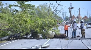 พายุปาบึก