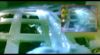 ดวงจันทร์