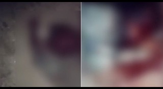 เทพบุตรโซโล