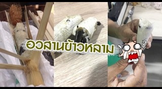 ข้าวหลาม