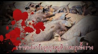 ฟาร์มหมู