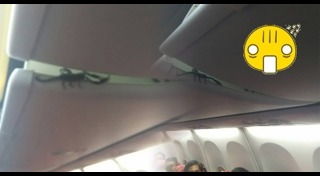 แมงป่อง