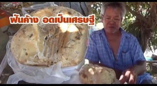 อำพันทะเล