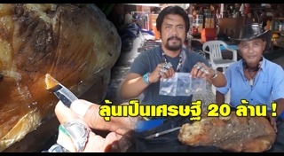 อำพันทะเล