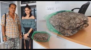 อำพันทะเล