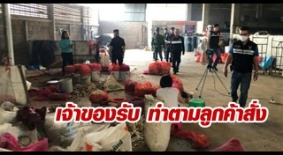 มันสำปะหลัง