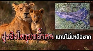 นักล่าสัตว์