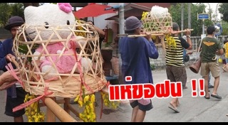 แห่นางแมว