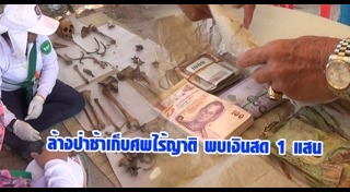 ล้างป่าช้า