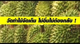 วัดท่าไม้