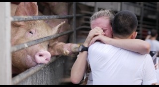 โรงฆ่าสัตว์