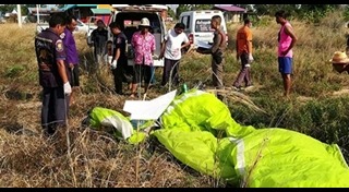 พารามอเตอร์