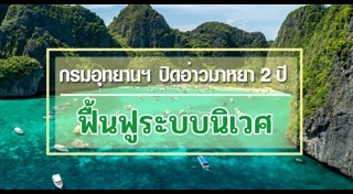 เกาะพีพี