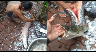 นักตกปลา