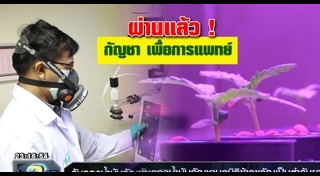 แพทย์แผนไทย