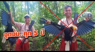 นกเงือก