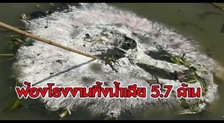 ปลากระเบน