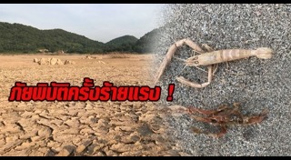 แม่น้ำโขง