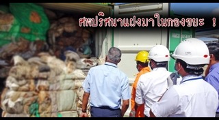 ชิ้นส่วนมนุษย์