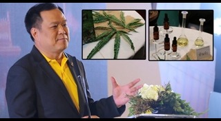 น้ำมันกัญชา