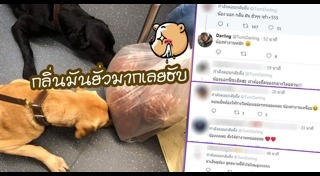 สุนัขตำรวจ